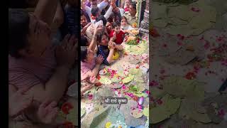 Shyama aan baso vrindavan me  shree krishna bhajan  radhe Krishna shorts trending youtubeshorts [upl. by Nnayrb]