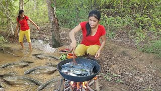 Found many catfish in the rainforest for food Cooking catfish with chili sauce for dinner [upl. by Aicina]