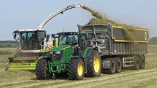 Gut Hohen Luckow Gras mähenhäckselnClaas Cougar 1400Jaguar 9702x Case Optum 250John deere 6250r [upl. by Ludlew624]