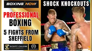 PRO BOXING FROM SHEFFIELD BIG UPSET KNOCKOUTS ON THIS SCOTT CALOW  KAS HUSSAIN MAIDEN PROMOTION 🥊 [upl. by Enilekaj]