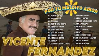 Vicente Fernández  A Pesar de Todo  20 Vicente Fernandez Exitos MixRancheras Y Corridos Mexicanas [upl. by Meekyh]