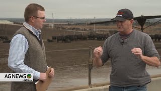 THIS is why the US Heifer Retention Remains Low  Insights from Feedlot Owner [upl. by Stevena490]