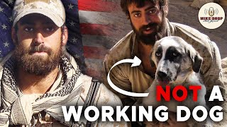 Navy SEAL Smuggles Dog Out of Afghanistan  Bringing Frank Home with Jeff Reid  Mike Drop 205 [upl. by Leuamme629]