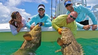 Goliath grouper and shark caught by newscaster Michelle Li in the Florida Keys [upl. by Vescuso777]