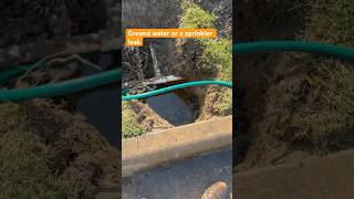 How a Tiny Sprinkler Leak Became a Massive Groundwater Crisis sprinkler frenchdrain landscaping [upl. by Gwyn]