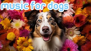 RELAX MY DOG Calming Music for Dogs 24 Hours Quick Sleep Tones [upl. by Lebasy]