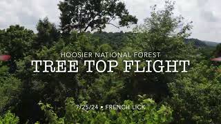 Flight Over the Hoosier National Forest A Broadwinged Hawks Perspective [upl. by Eiluj]