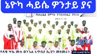 ዳዌ ሣኬ ሙሉ ወንጌል መዘመራን 1 Album ኔዮካ ሐይሴ ዎንታይ ያና Wolaita Protestant song 2016 ዓም ⩣ Yeee Tube [upl. by Fisch]