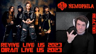 Nemophila  Revive And Oiran Live U S Tour 2023 Reaction [upl. by Rehoptsirhc]