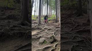 Bikepark Schladming earlier this year 🔥 [upl. by Olimreh386]