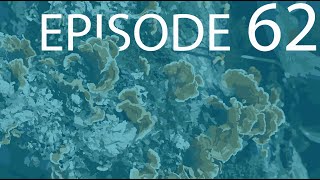 Episode 62  Fungal Nutrition [upl. by Kape]