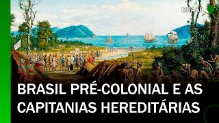 Brasil Précolonial e as Capitanias Hereditárias 15001548  História  Felipe Neves [upl. by Ecnerwal923]