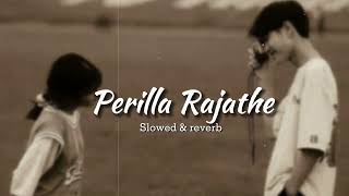 Perilla Rajathe Rajakumari Slowes amp Reverb slowedandreverb malayalamsongs lofimusic [upl. by Braden]