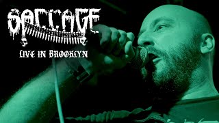 SACCAGE  Live in Brooklyn The Meadows 111723  FULL SET [upl. by Oliric]