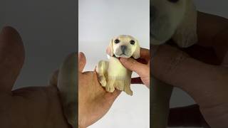 Let’s name the cute pup squishy cute labrador puppy kawaiiaesthetic [upl. by Sailesh]