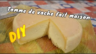 Faire du fromage maison au lait de vache  🐮 [upl. by Nazus]