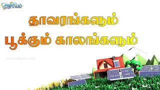 Grade 5 Scholarship Parts of a Plant Asiriyam Education Tamil [upl. by Aedrahs]