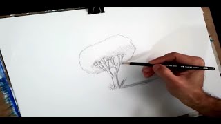 How to draw a tree really easy step by step [upl. by Froma955]