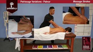 Awesome Massage Petrissage Variations Kneading Vizniak [upl. by Sonni]