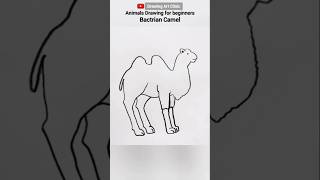 Bactrian Camel Drawing  drawing shorts [upl. by Adnaluy133]