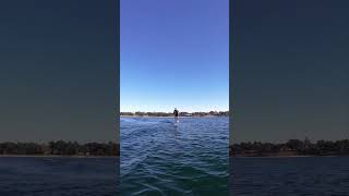 Connelly Ono 2025 7 months post surgery getting back at it wakesurf surfing surfboat lakelife [upl. by Albric320]