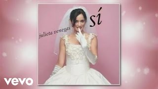 Julieta Venegas  Oleada Cover AudioVideo [upl. by Alletsyrc772]