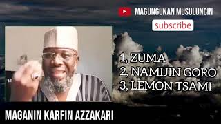 MAGANIN KARFIN AZZAKARI karfin maza sanyi hausa arewa [upl. by Alius]