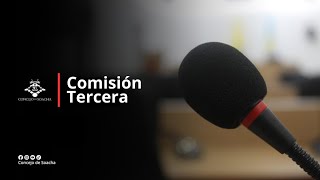 ACTA 21  COMISIÓN TERCERA  NOVIEMBRE 8 DEL 2024 [upl. by Inaniel637]