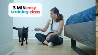 Lets Train Together Ping Pong Kitty only 3 min [upl. by Bael80]