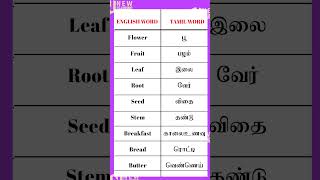 English words with Tamil meaning 802  Spoken English in Tamil  English vocabulary Tamil meaning [upl. by Nnail]