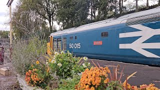 Andy Headbumps driving 50015 on the ELR [upl. by Euqinot669]