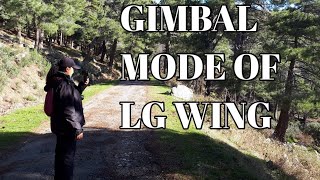 LG WINGTESTING GIMBAL MODE SHOT [upl. by Carlock]