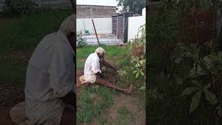 Maa thaatha🩶gardening [upl. by Oiludbo]