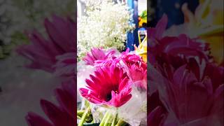 💐 peace flowers india bouquet peaceful colors wabisabi ikigai behappy ytshorts shorts yt [upl. by Nnadroj641]