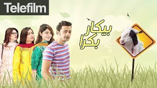 Bekar Bakra  Eid ul Azha Special Telefilm  Neelum Muneer  Hina Dilpazeer  Ahmed Hasan  Urdu1 TV [upl. by Euqram]