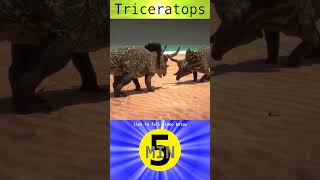 Triceratops  Short [upl. by Hylan]