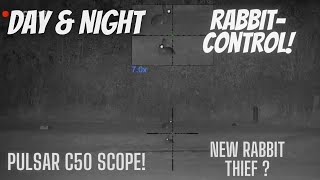 Day amp Night Rabbit Control with Pulsar C50 scope amp Rabbit Thief [upl. by Ttenyl931]