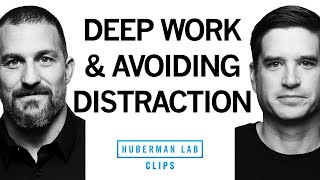 Avoiding Distractions amp Doing Deep Work  Dr Cal Newport amp Dr Andrew Huberman [upl. by Asabi687]