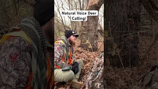 CAN YOU CALL BETTER THAN my COUSIN Natural voice calling whitetail deer bowhunting deercalling [upl. by Starling]