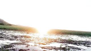 Sunrise over the Palo Verde Temperate Wetlands Costa Rica [upl. by Ventre]