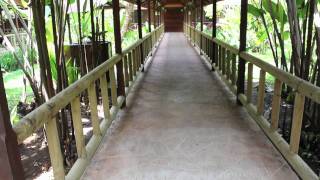 Pachira Lodge  Hotels in the Tortuguero area of Costa Rica [upl. by Yrtnej]