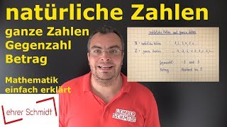 natürliche Zahlen amp ganze Zahlen  Mathematik  einfach erklärt  Lehrerschmidt [upl. by Dall]