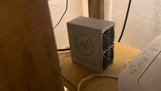 Found my Mini Doge Miner [upl. by Sarge]