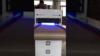 uv led curing system with conveyor belt [upl. by Ykcaj145]