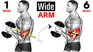 Full Arms Exercises with Dumbbells  Biceps and Triceps  🦾🦾 [upl. by Aliber49]