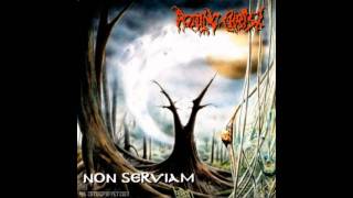 Rotting Christ  Wolfera Tha Chacal Neoplasia Lyrics HD [upl. by Swanhilda650]