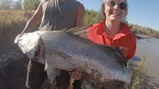 Barramundi Catch And Cook 126cm Metre Barra [upl. by Nirehs]