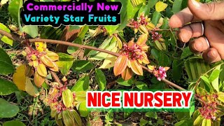 how to Guava Ki Jada Falun Kaise Karnahe Video Dekho nicenursery Online Home Available [upl. by Finbar]