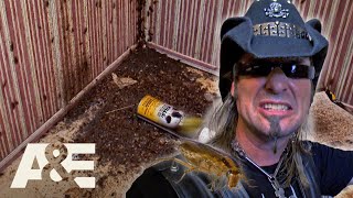 Top 3 HORRIFYING Roach Infestations  Billy the Exterminator  AampE [upl. by Krum858]