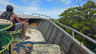 Stanage bay ultimate pro crabber [upl. by Rimhsak547]